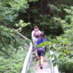 A small group of hikers crossing a bridge in a forest